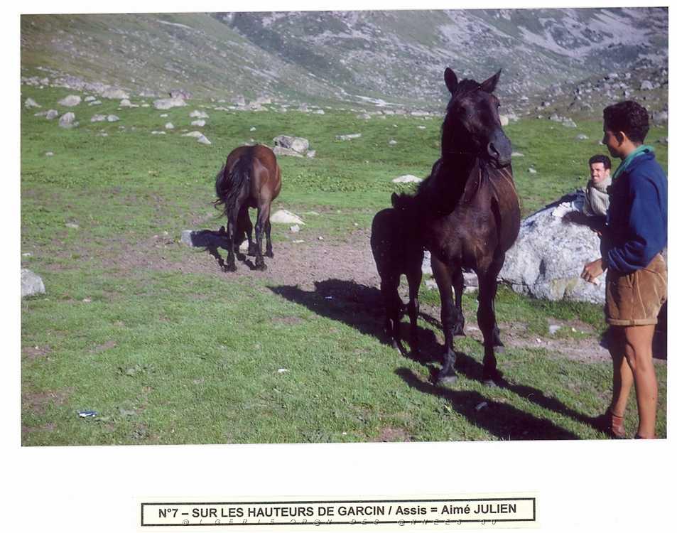 05 LYCEE LAMORICIERE 1960 AUX CABANNES zb0008.jpg